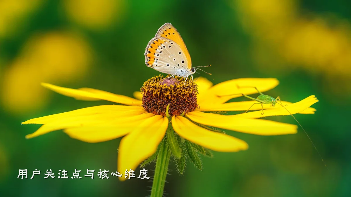 用户关注点与核心维度