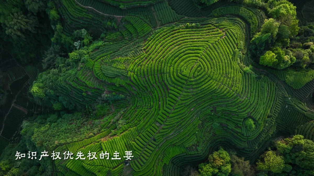 知识产权优先权的主要