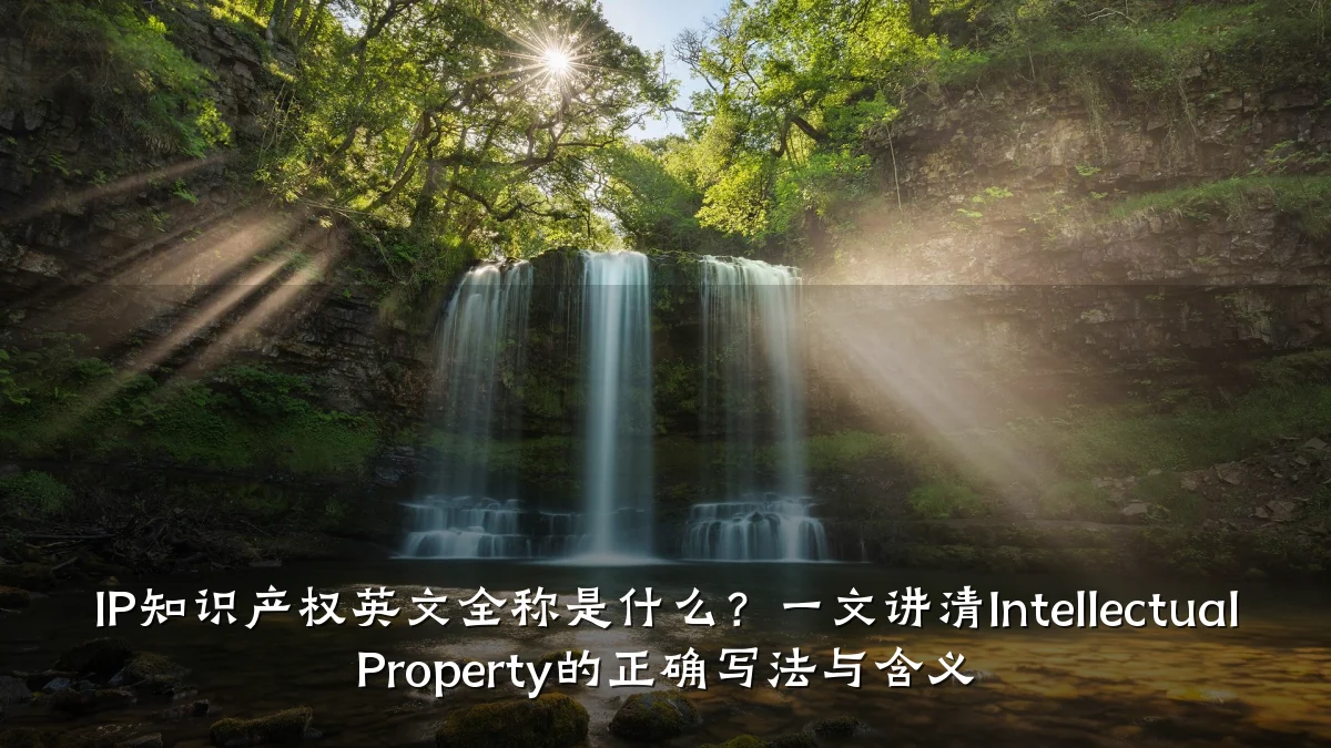 IP知识产权英文全称是什么？一文讲清Intellectual Property的正确写法与含义