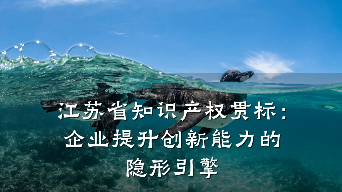 江苏省知识产权贯标：企业提升创新能力的隐形引擎