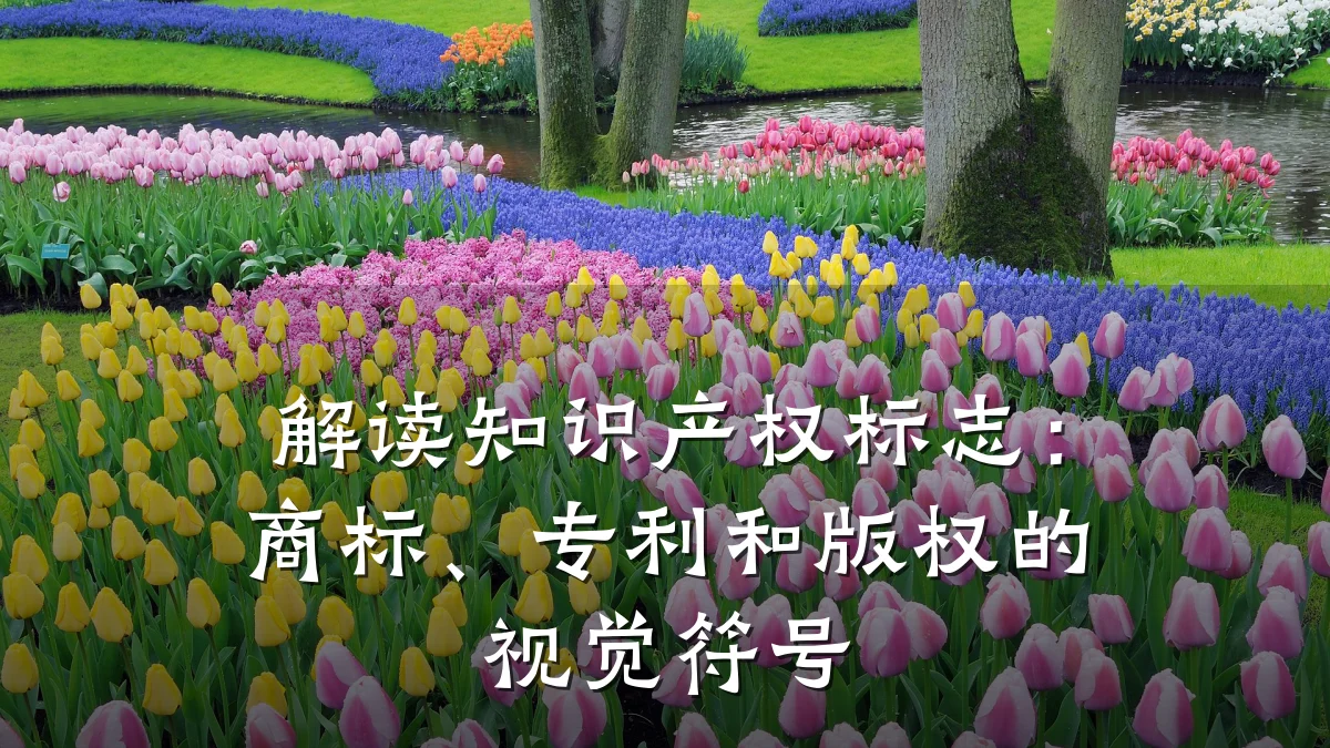 解读知识产权标志：商标、专利和版权的视觉符号