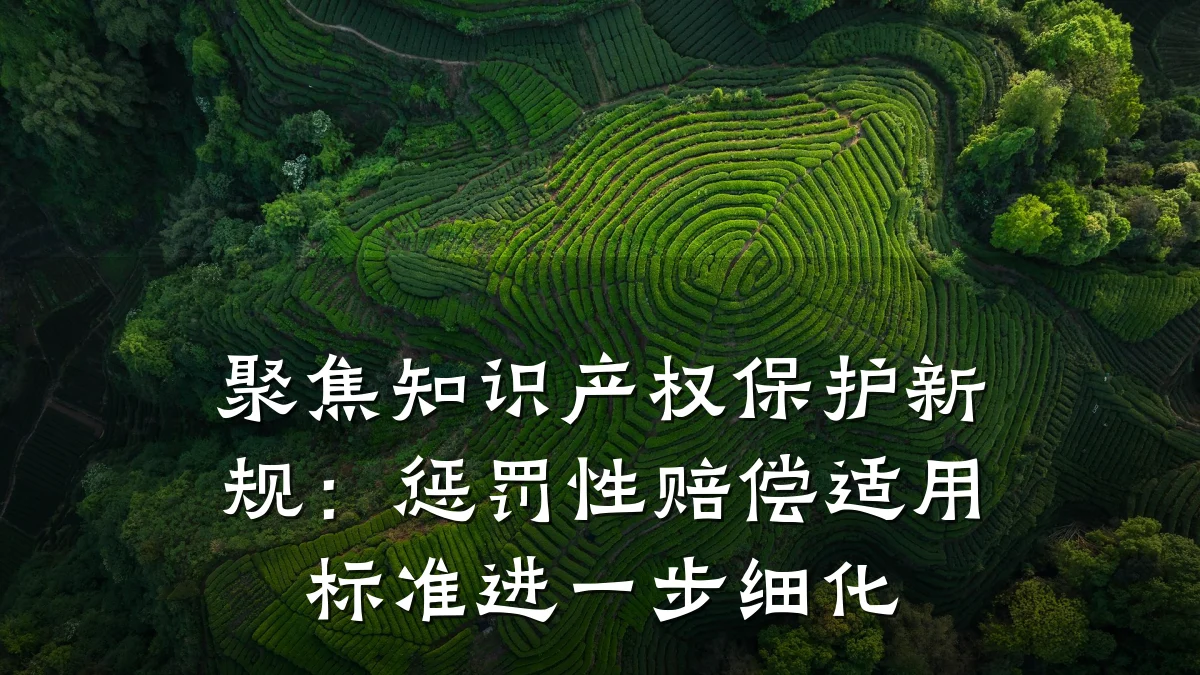 聚焦知识产权保护新规：惩罚性赔偿适用标准进一步细化