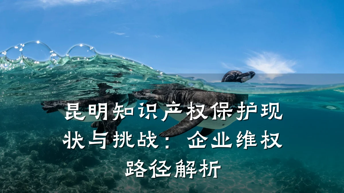 昆明知识产权保护现状与挑战：企业维权路径解析