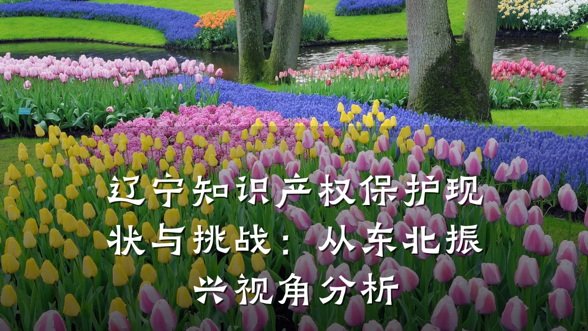 辽宁知识产权保护现状与挑战：从东北振兴视角分析