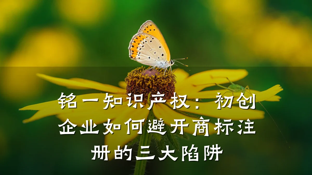 铭一知识产权:初创企业如何避开商标注册的三大陷阱