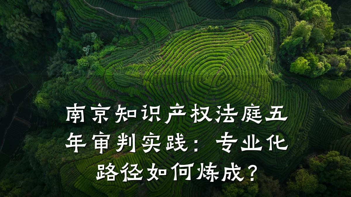 南京知识产权法庭五年审判实践：专业化路径如何炼成？