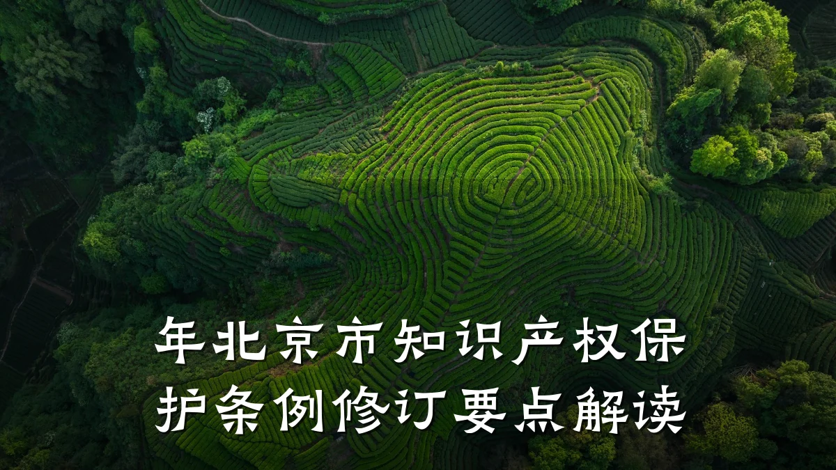 年北京市知识产权保护条例修订要点解读