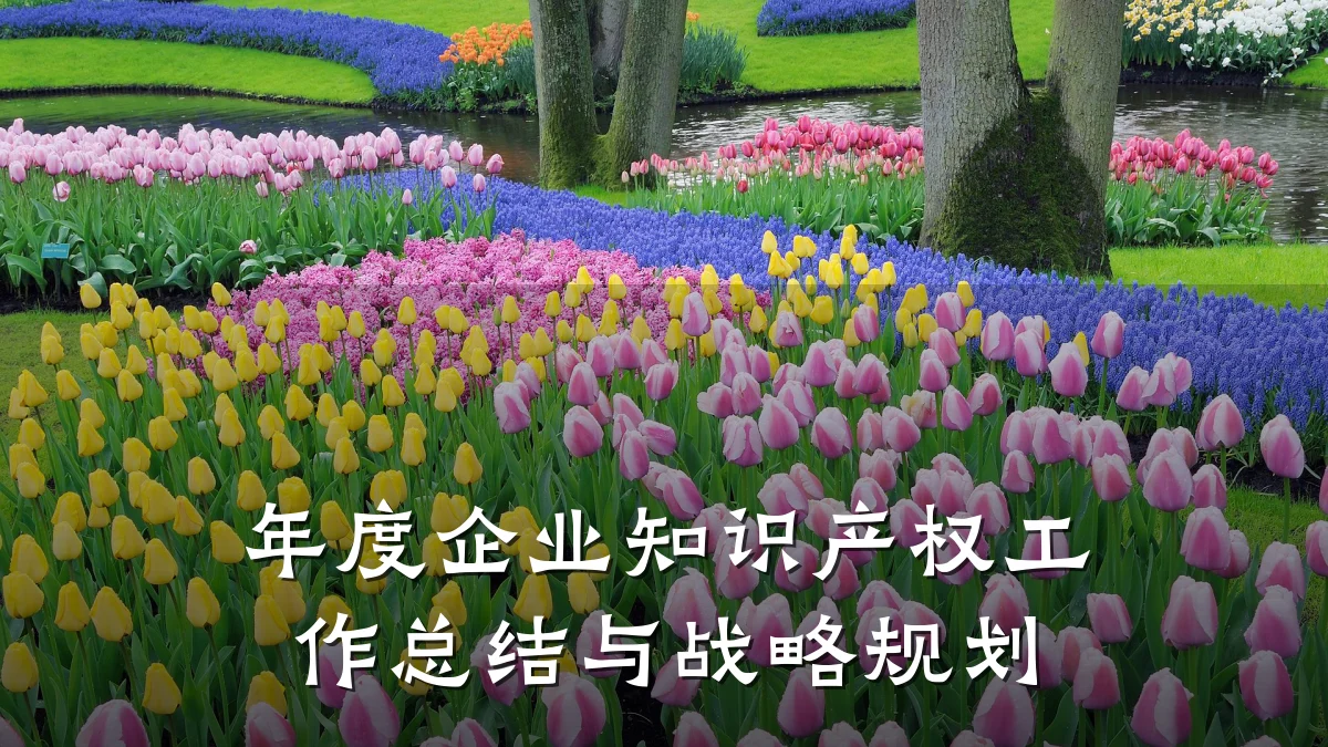 年度企业知识产权工作总结与战略规划