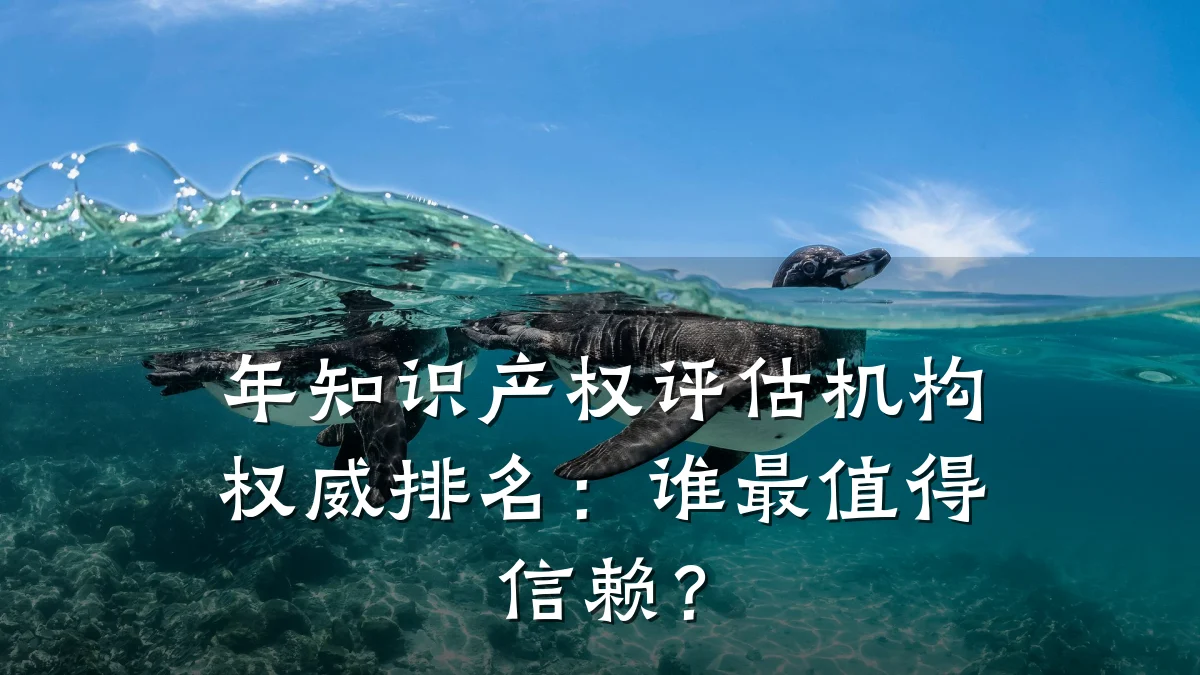 年知识产权评估机构权威排名:谁最值得信赖?