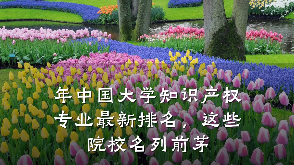 年中国大学知识产权专业最新排名，这些院校名列前茅