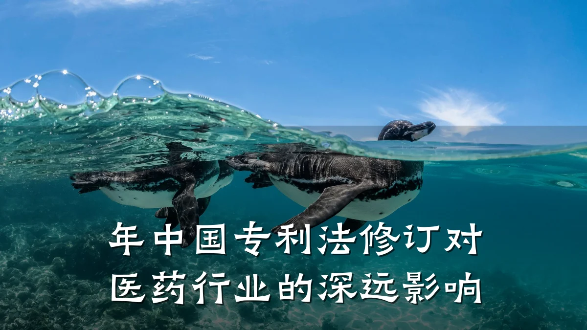 年中国专利法修订对医药行业的深远影响