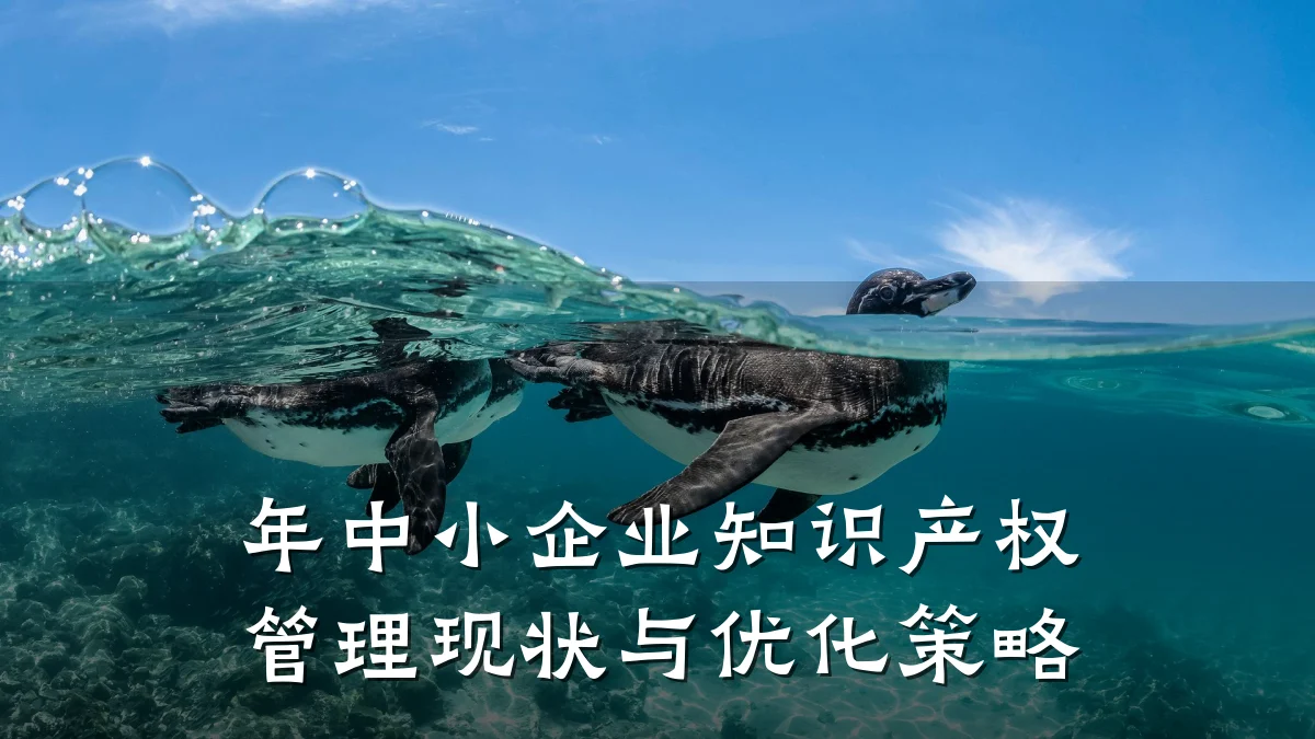 年中小企业知识产权管理现状与优化策略