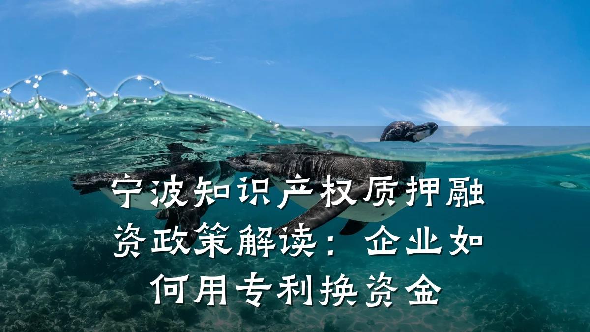 宁波知识产权质押融资政策解读：企业如何用专利换资金