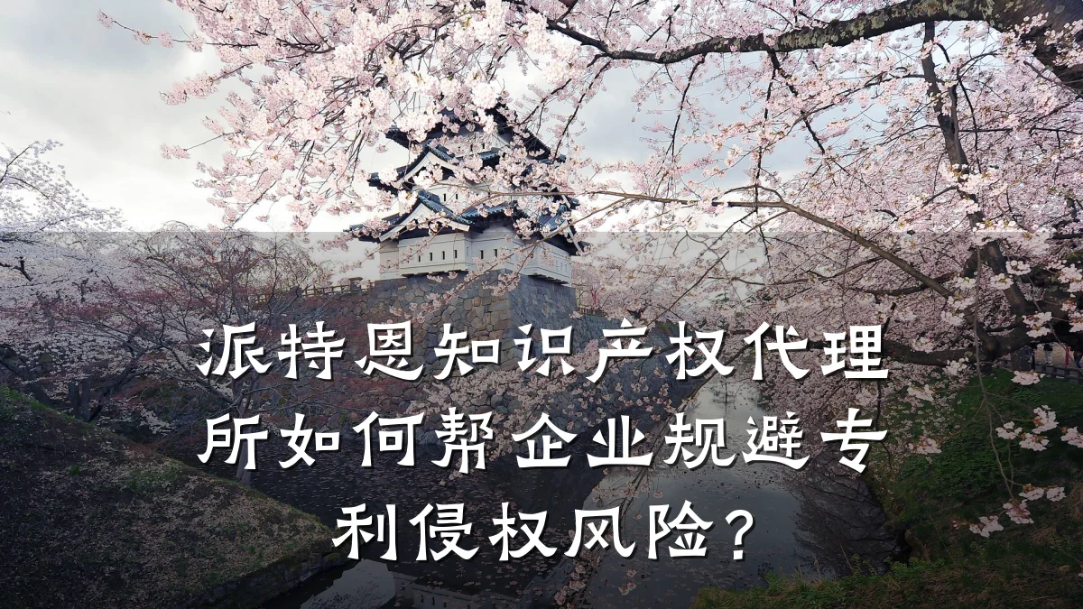 派特恩知识产权代理所如何帮企业规避专利侵权风险？