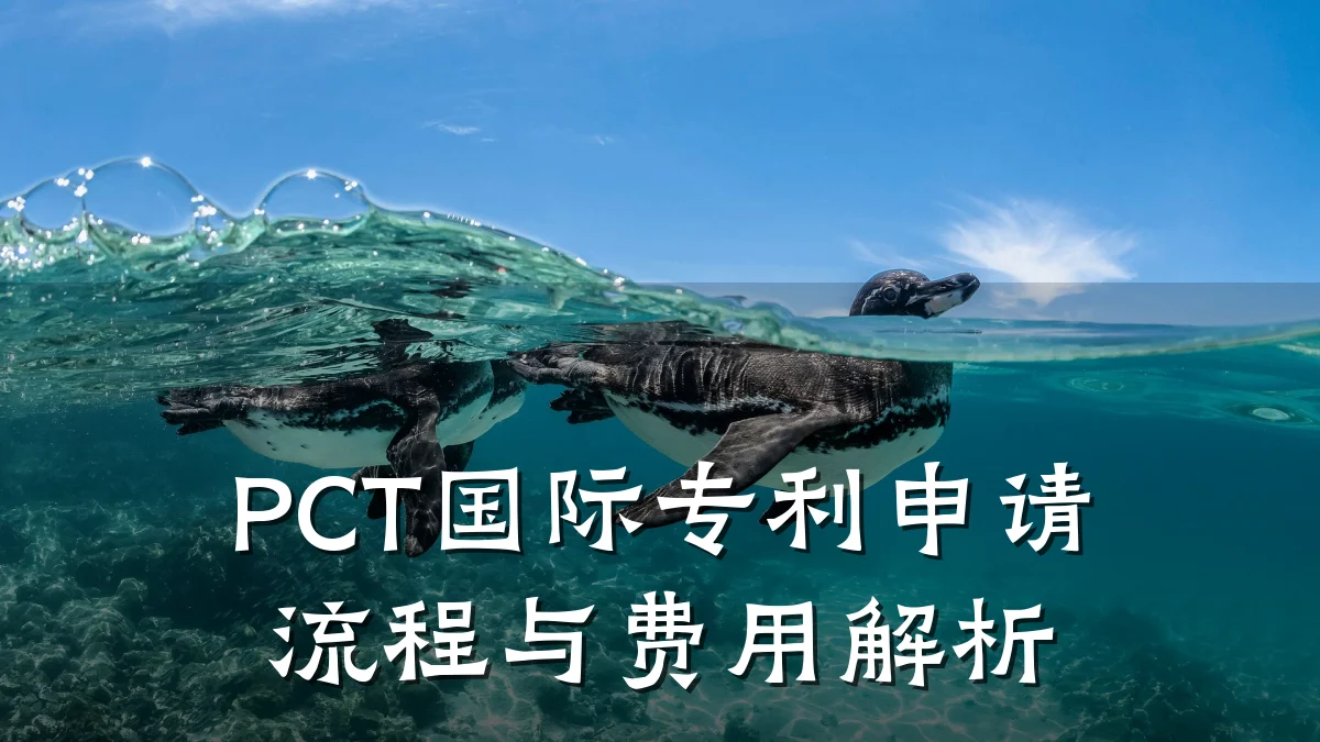 PCT国际专利申请流程与费用解析