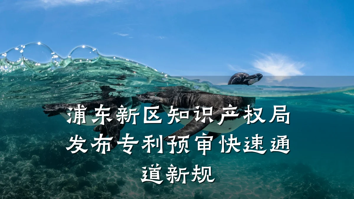 浦东新区知识产权局发布专利预审快速通道新规