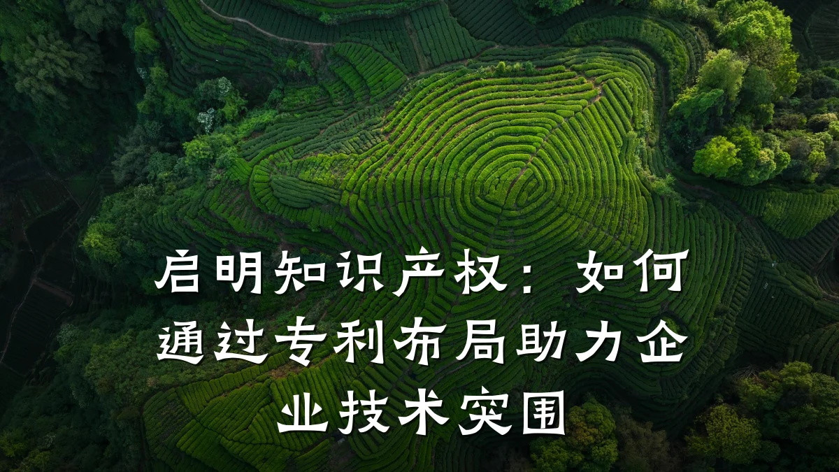 启明知识产权：如何通过专利布局助力企业技术突围