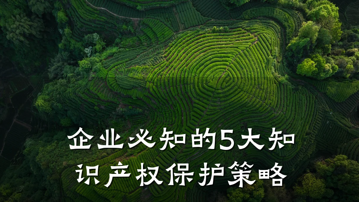 企业必知的5大知识产权保护策略