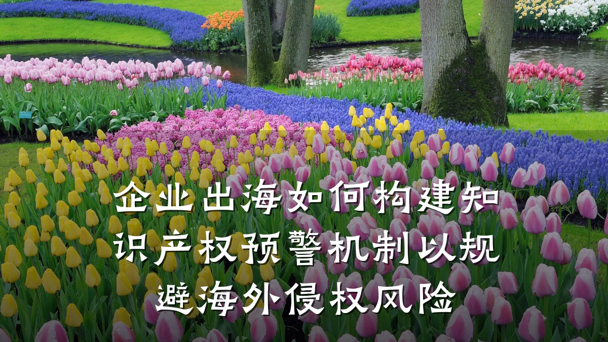 企业出海如何构建知识产权预警机制以规避海外侵权风险