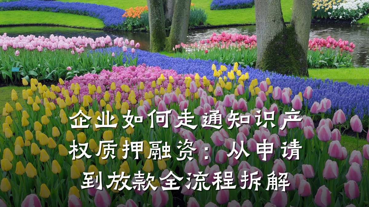企业如何走通知识产权质押融资：从申请到放款全流程拆解