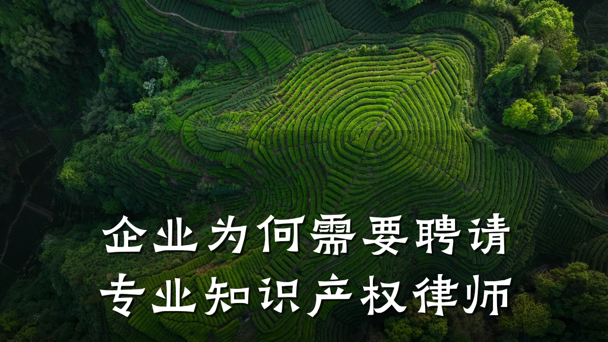 企业为何需要聘请专业知识产权律师