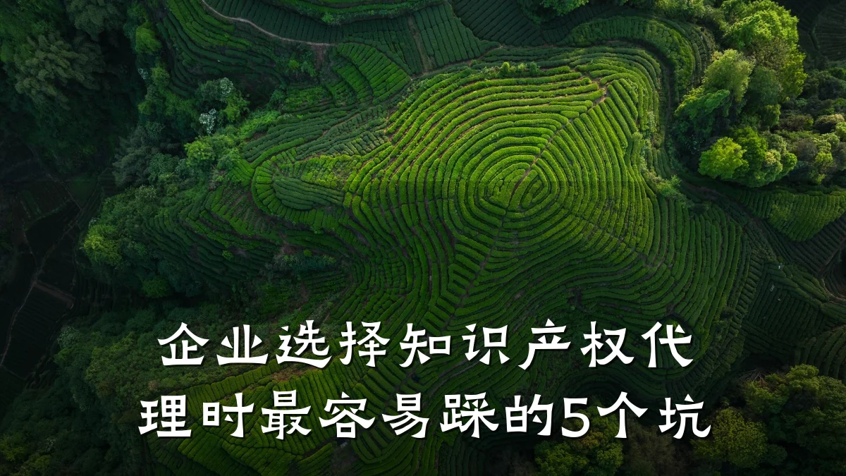 企业选择知识产权代理时最容易踩的5个坑