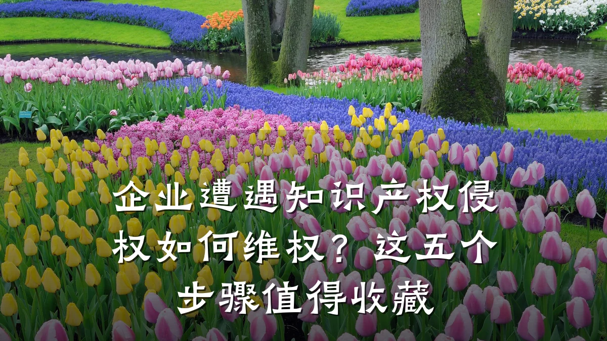 企业遭遇知识产权侵权如何维权？这五个步骤值得收藏