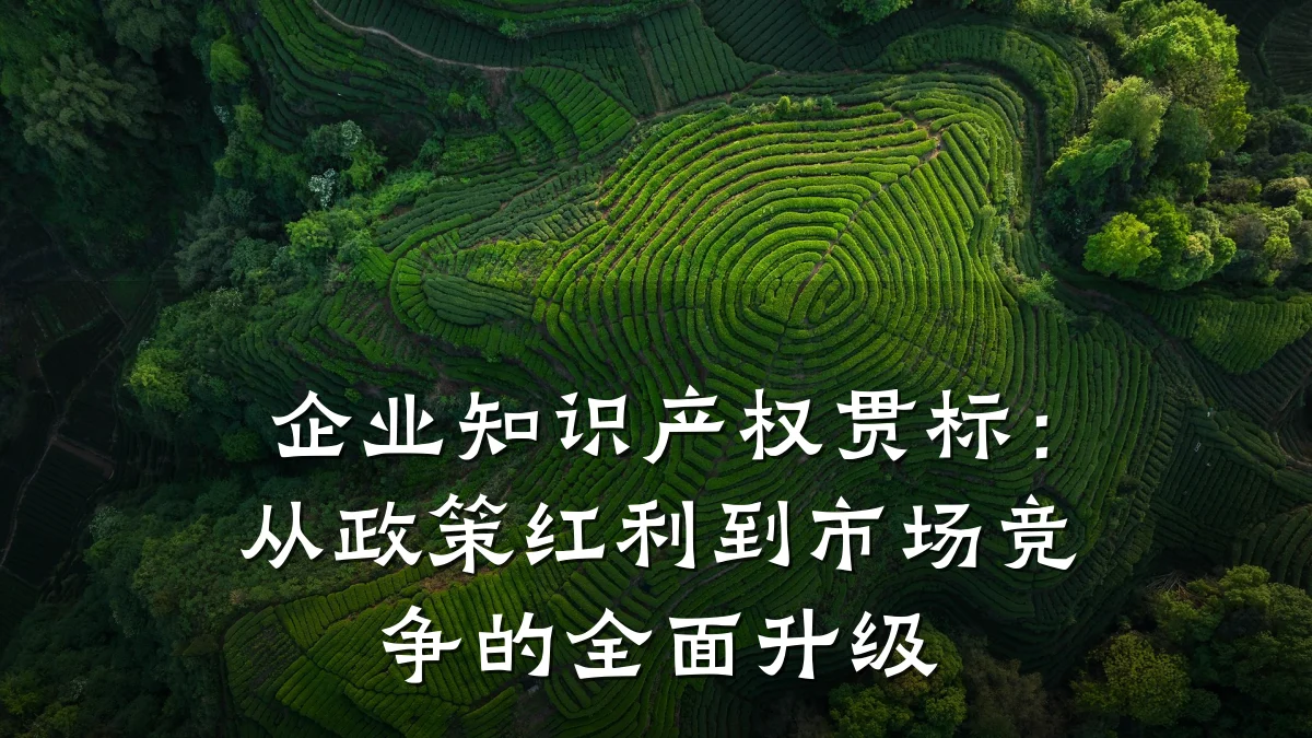 企业知识产权贯标：从政策红利到市场竞争的全面升级