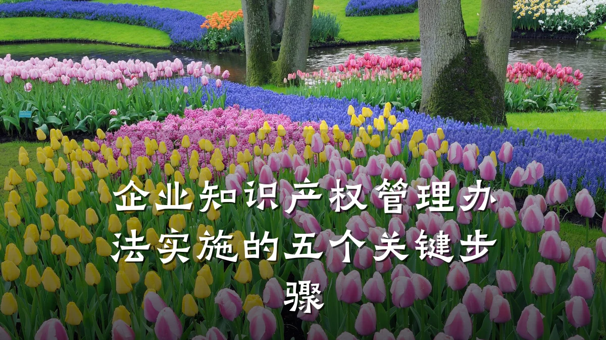 企业知识产权管理办法实施的五个关键步骤