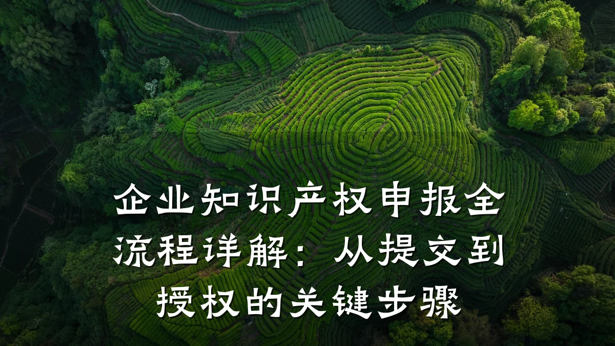 企业知识产权申报全流程详解：从提交到授权的关键步骤