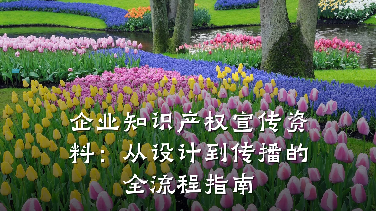 企业知识产权宣传资料：从设计到传播的全流程指南