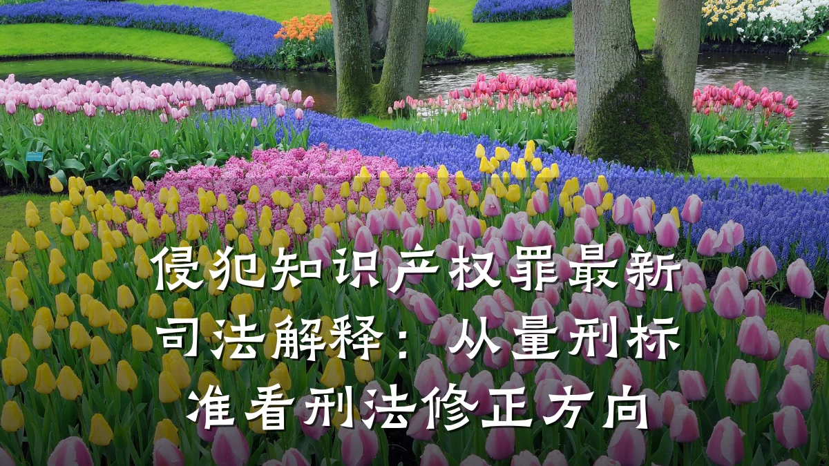 侵犯知识产权罪最新司法解释:从量刑标准看刑法修正方向