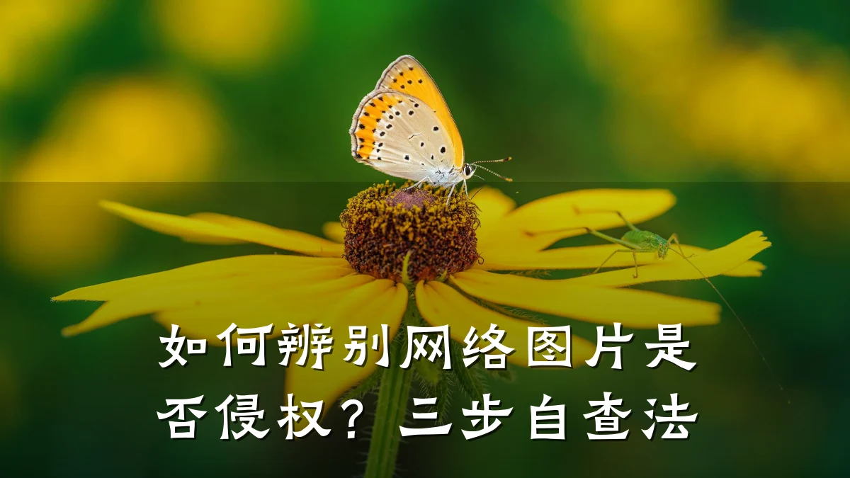 如何辨别网络图片是否侵权？三步自查法