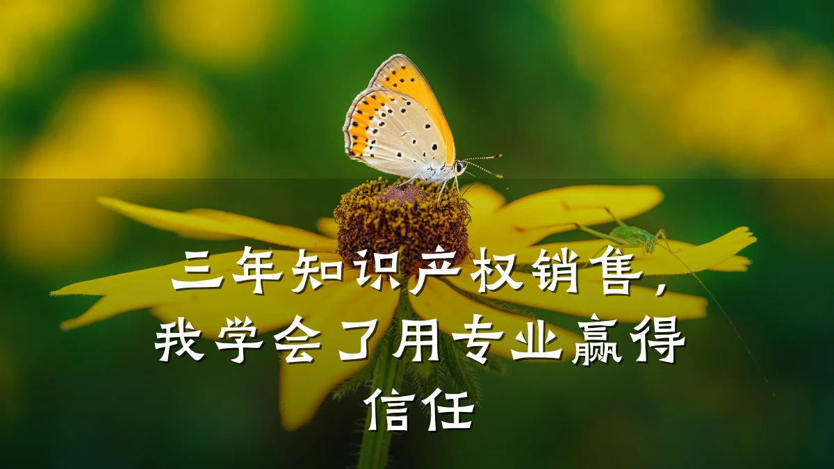 三年知识产权销售，我学会了用专业赢得信任