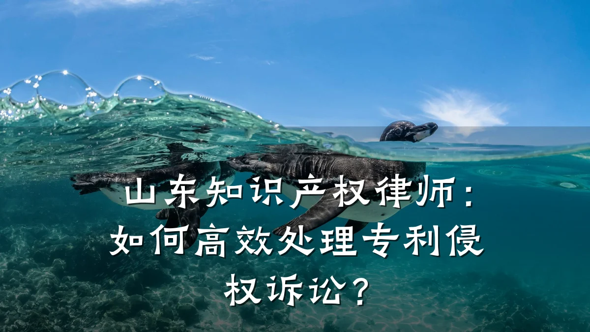 山东知识产权律师：如何高效处理专利侵权诉讼？