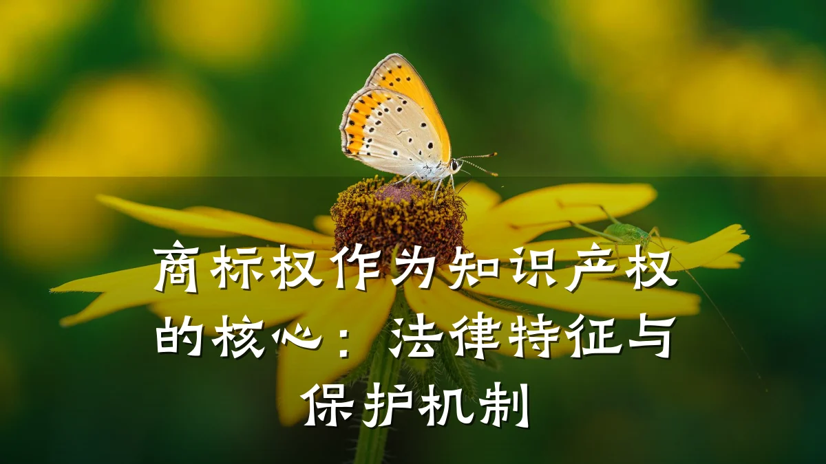 商标权作为知识产权的核心：法律特征与保护机制