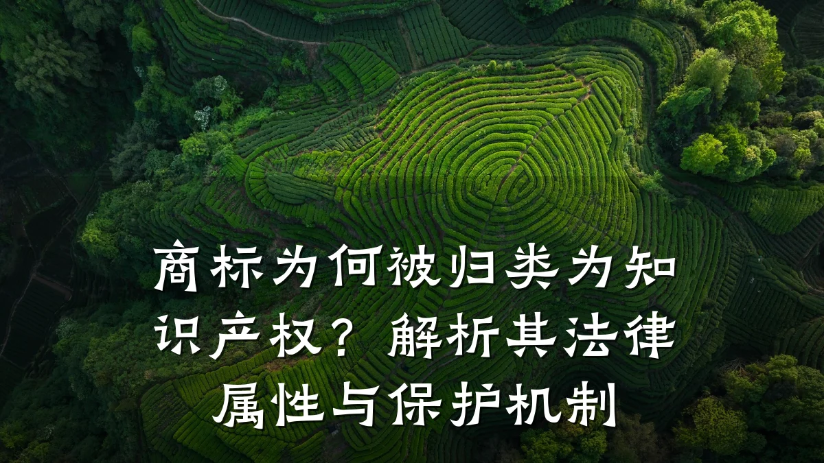 商标为何被归类为知识产权?解析其法律属性与保护机制