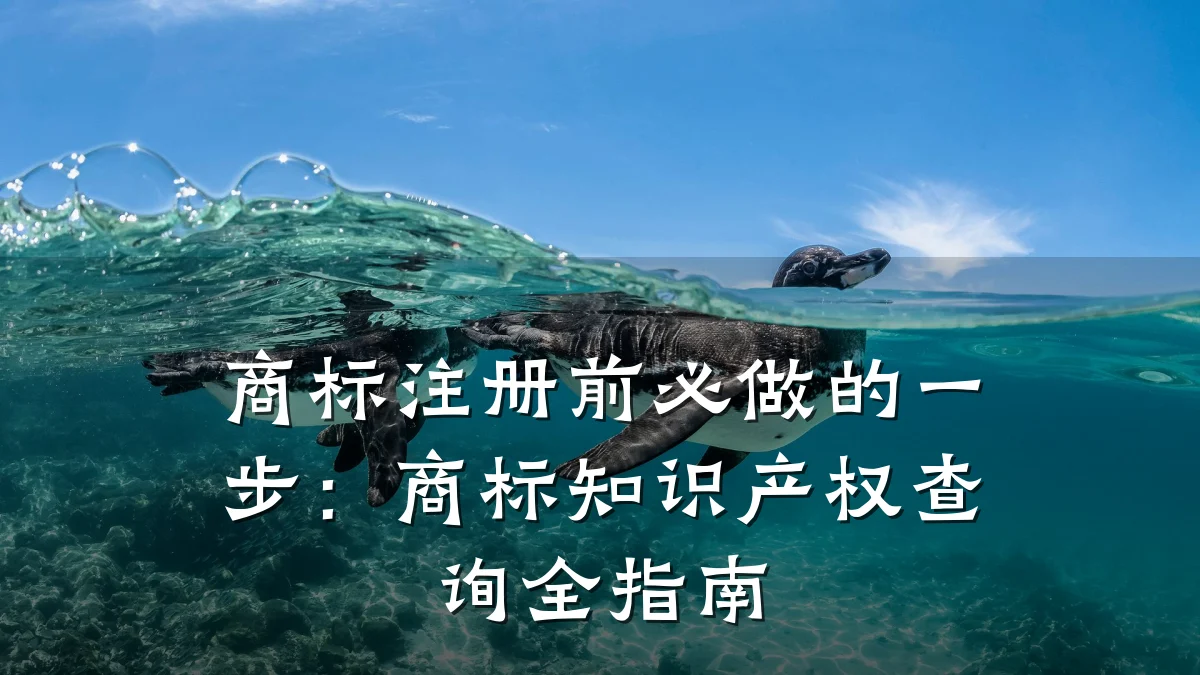 商标注册前必做的一步:商标知识产权查询全指南