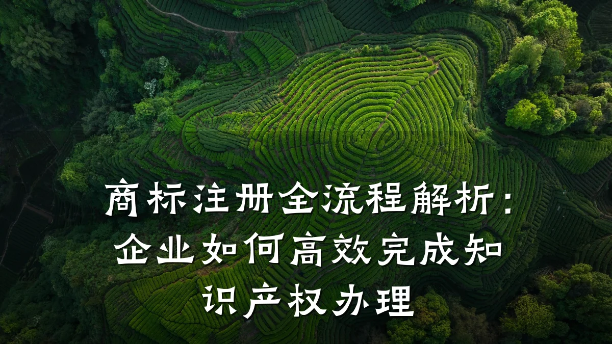 商标注册全流程解析：企业如何高效完成知识产权办理