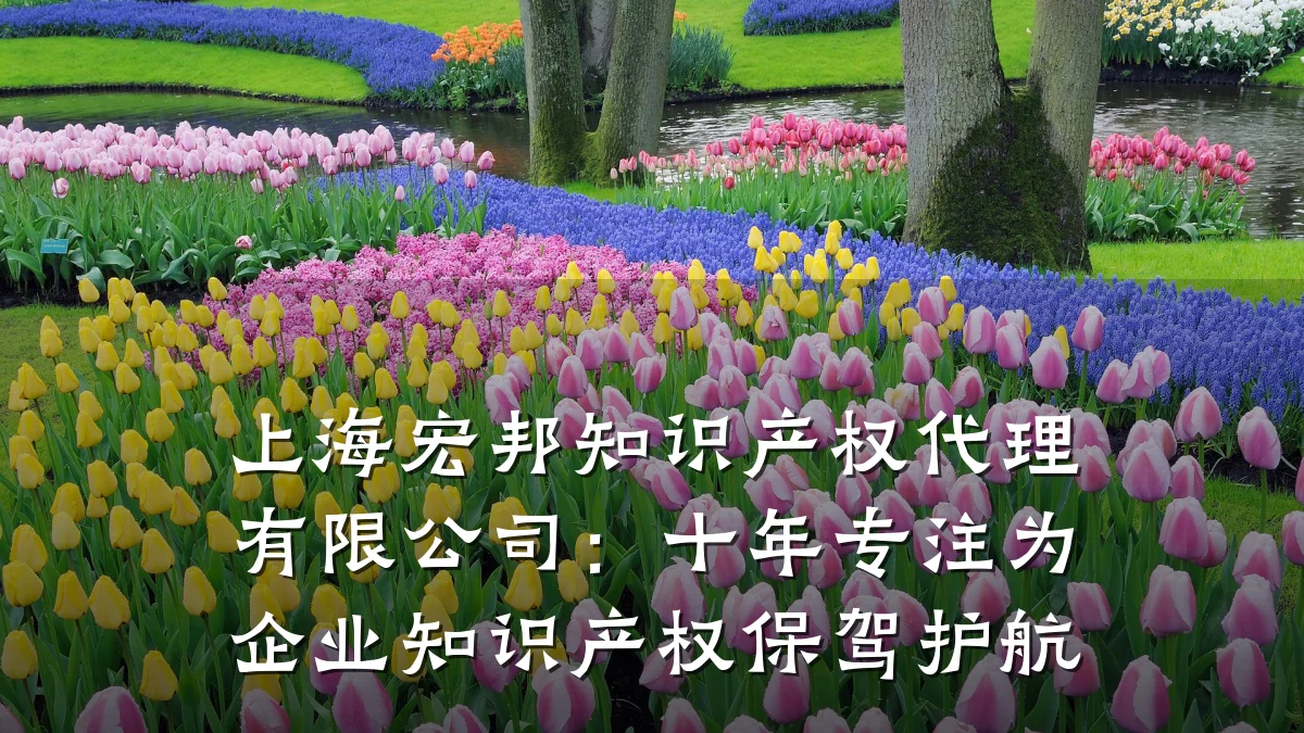 上海宏邦知识产权代理有限公司：十年专注为企业知识产权保驾护航