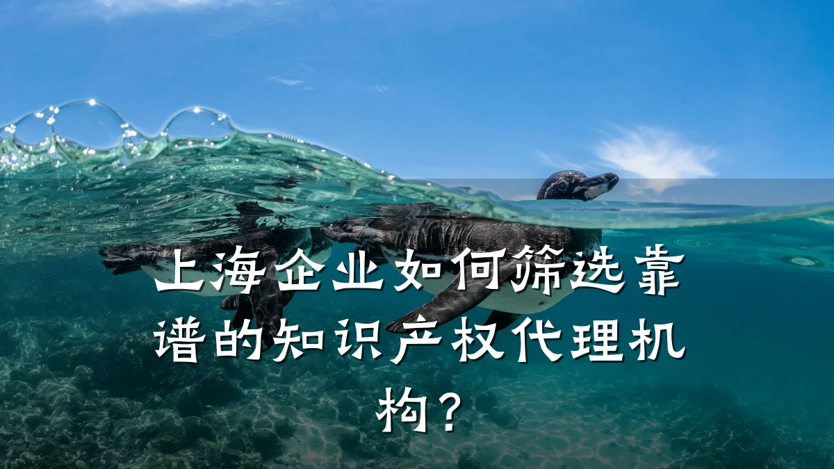 上海企业如何筛选靠谱的知识产权代理机构？