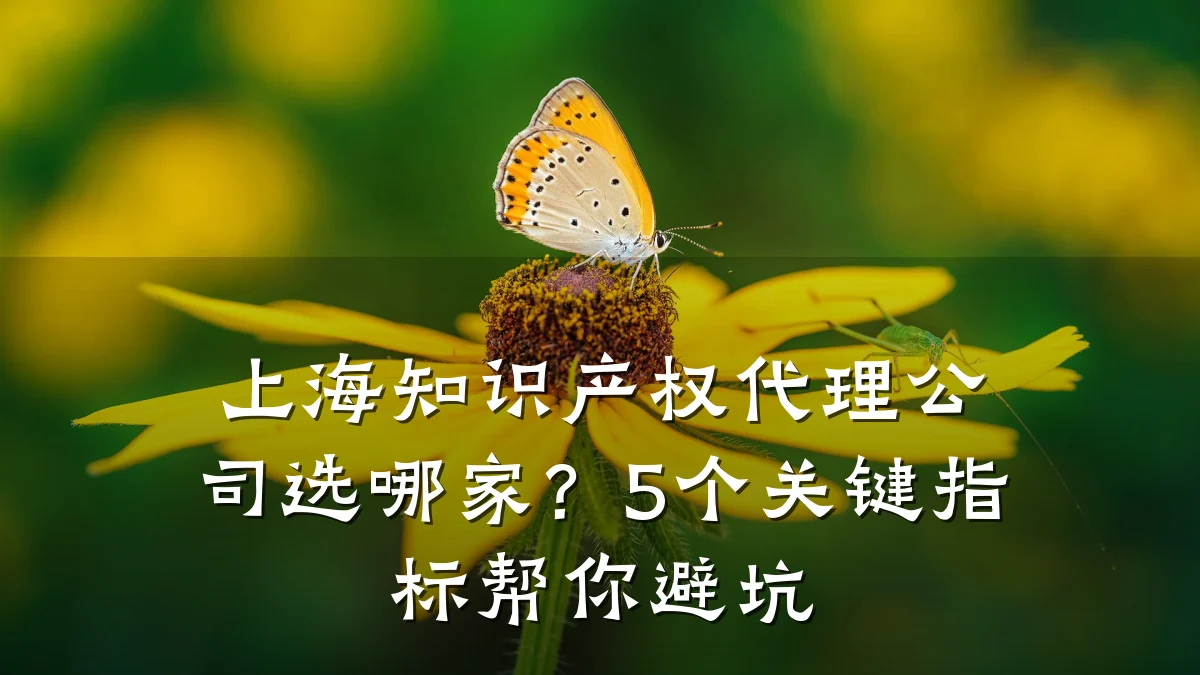 上海知识产权代理公司选哪家?5个关键指标帮你避坑