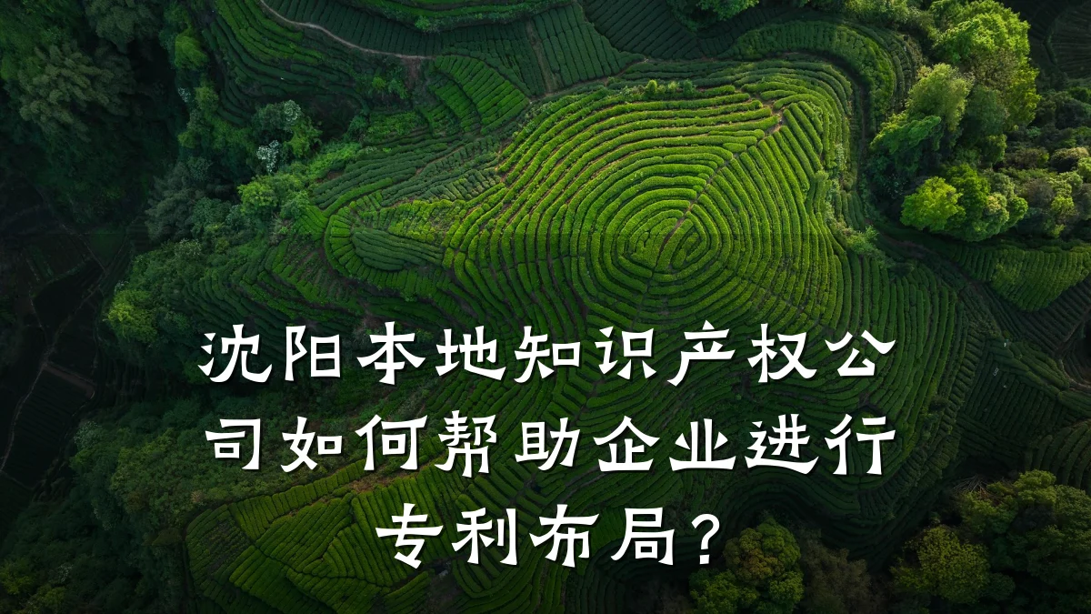 沈阳本地知识产权公司如何帮助企业进行专利布局?