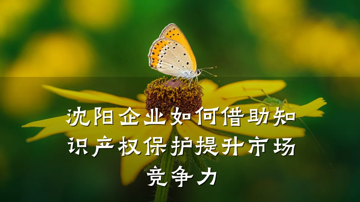 沈阳企业如何借助知识产权保护提升市场竞争力