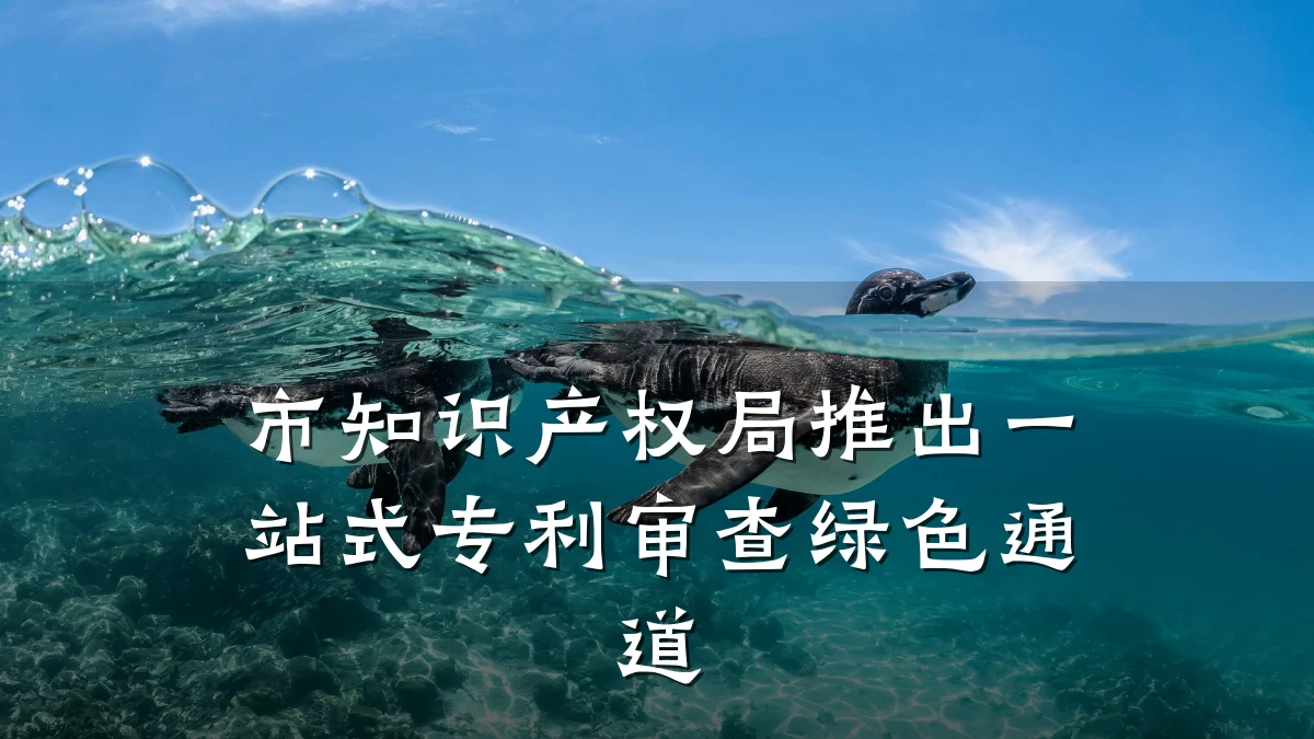市知识产权局推出一站式专利审查绿色通道