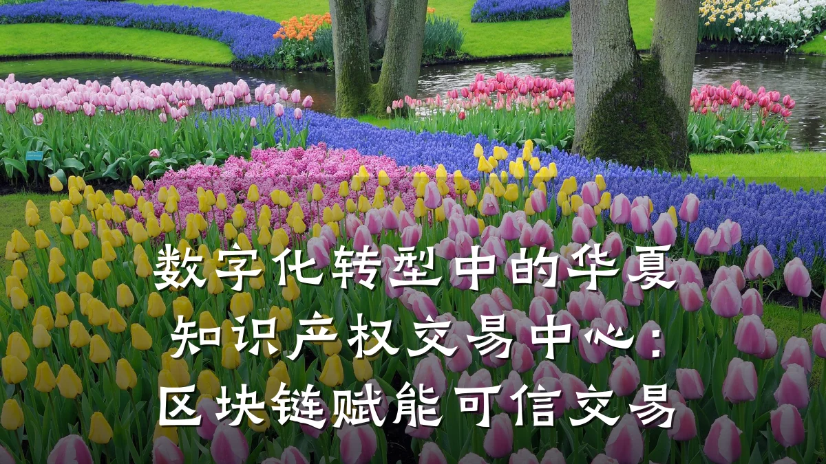 数字化转型中的华夏知识产权交易中心：区块链赋能可信交易