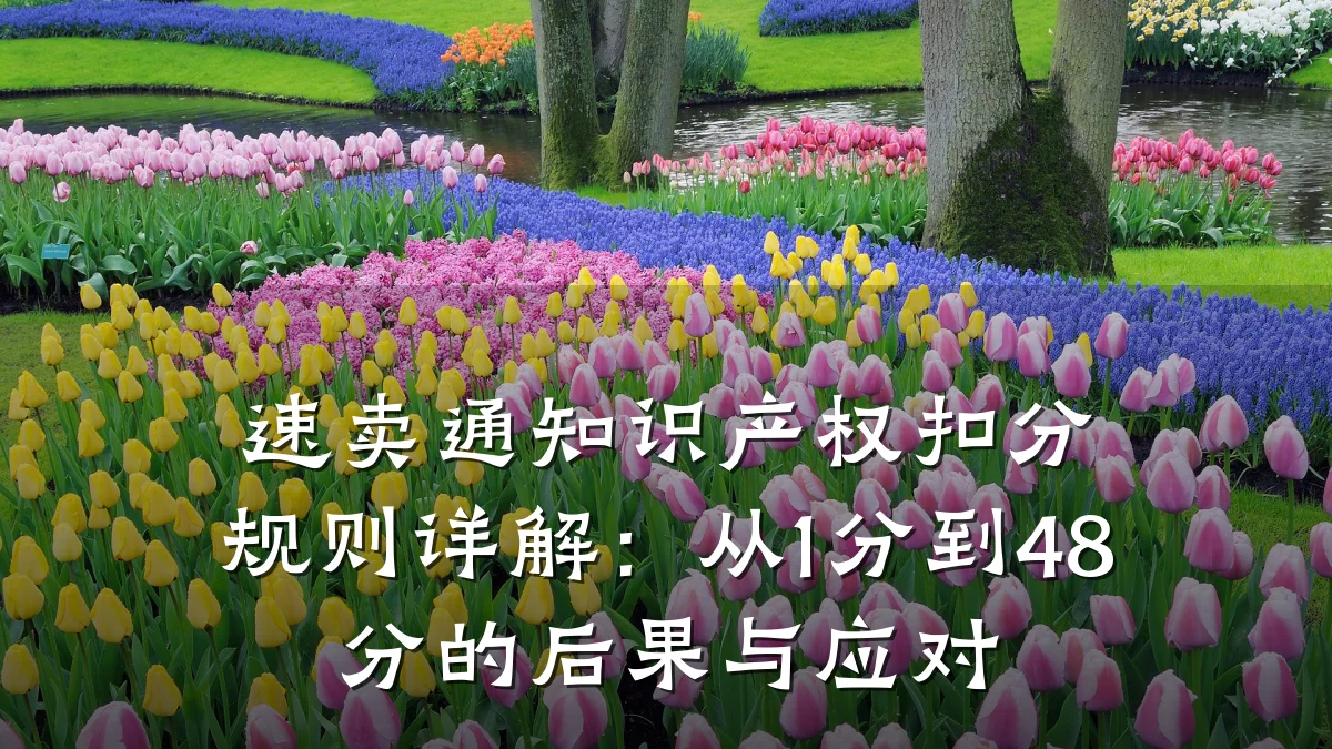 速卖通知识产权扣分规则详解：从1分到48分的后果与应对
