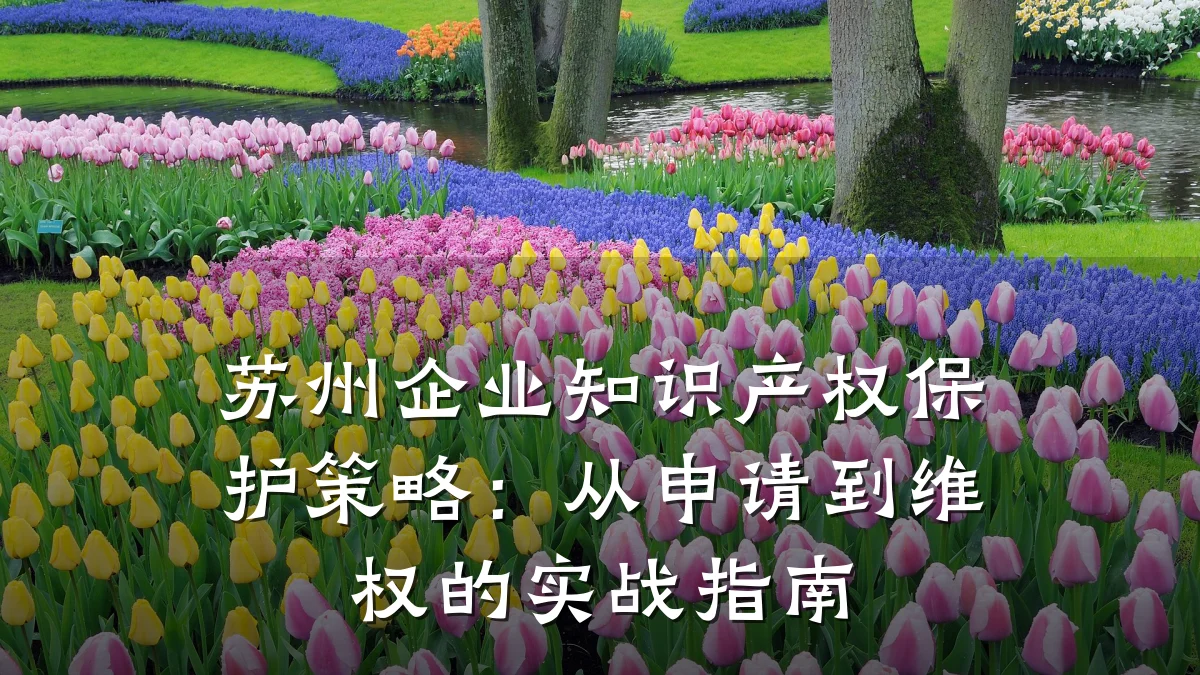 苏州企业知识产权保护策略：从申请到维权的实战指南