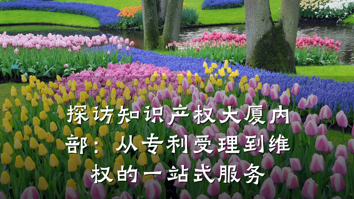 探访知识产权大厦内部:从专利受理到维权的一站式服务
