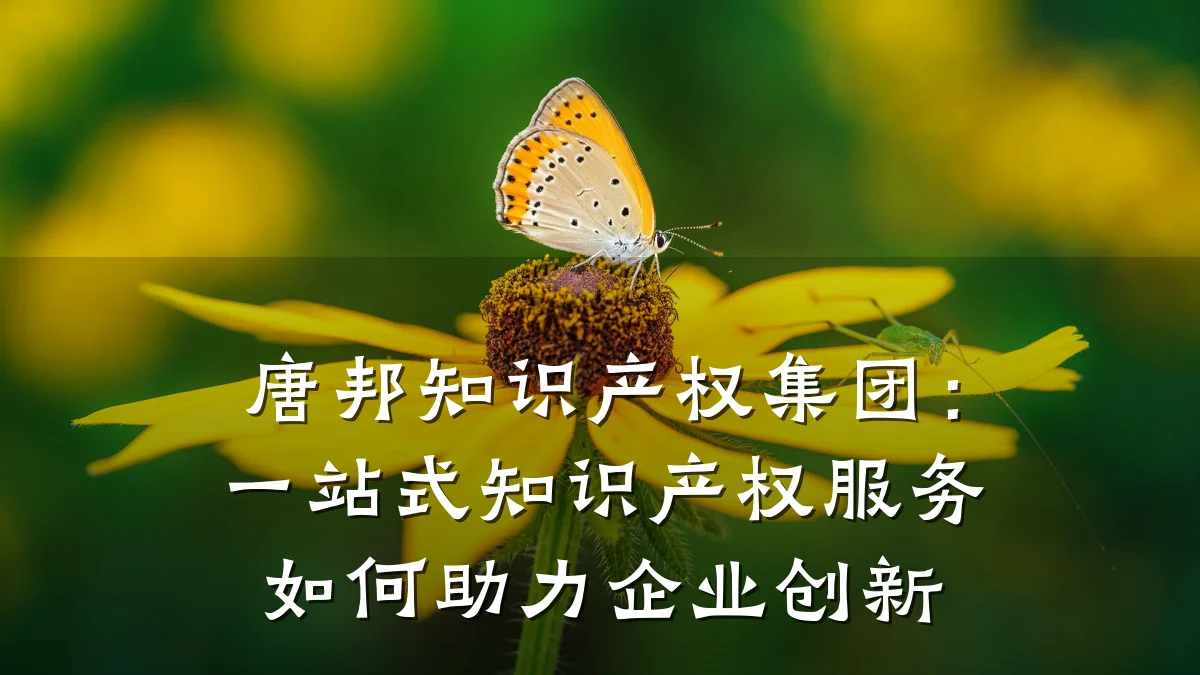 唐邦知识产权集团：一站式知识产权服务如何助力企业创新